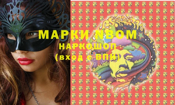 гашик Вяземский