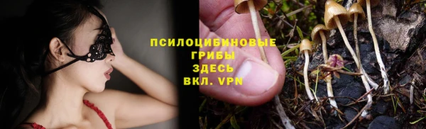 гашик Вяземский