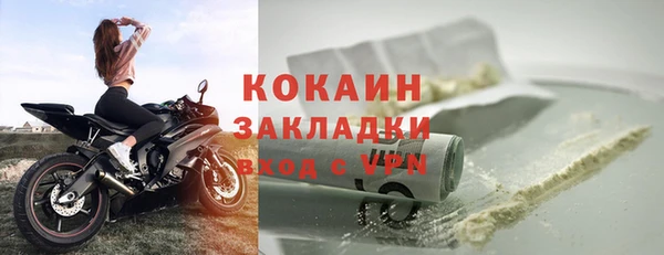 гашик Вяземский