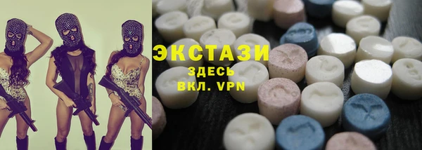 гашик Вяземский