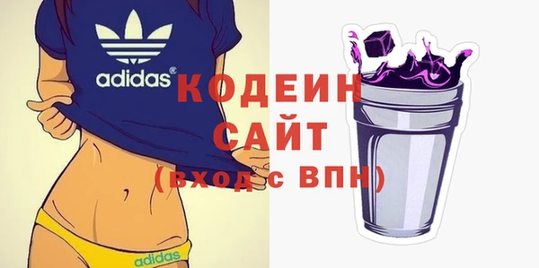 гашик Вяземский