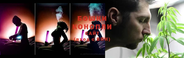 ГАЛЛЮЦИНОГЕННЫЕ ГРИБЫ Вязники