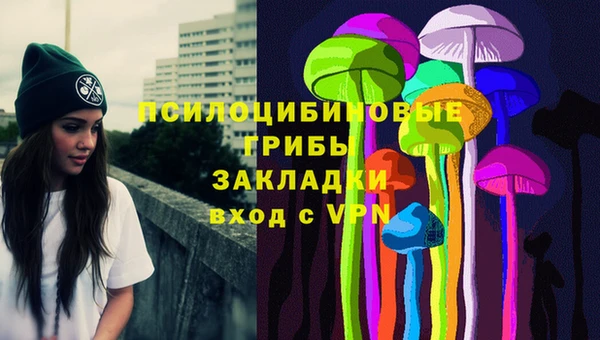 винт Горно-Алтайск