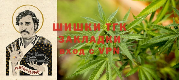 гашик Вяземский