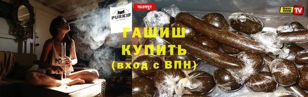 ГАЛЛЮЦИНОГЕННЫЕ ГРИБЫ Вязники