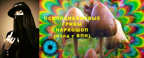 ГАЛЛЮЦИНОГЕННЫЕ ГРИБЫ Вязники