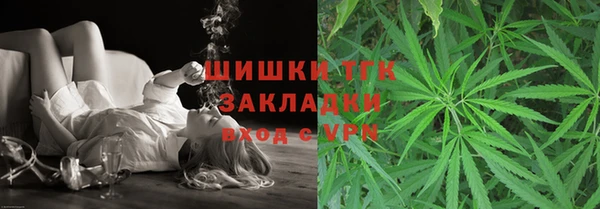 гашик Вяземский