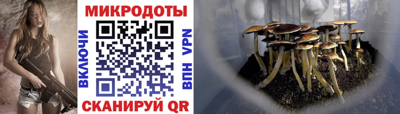 Псилоцибиновые грибы прущие грибы  мориарти как зайти  Домодедово 